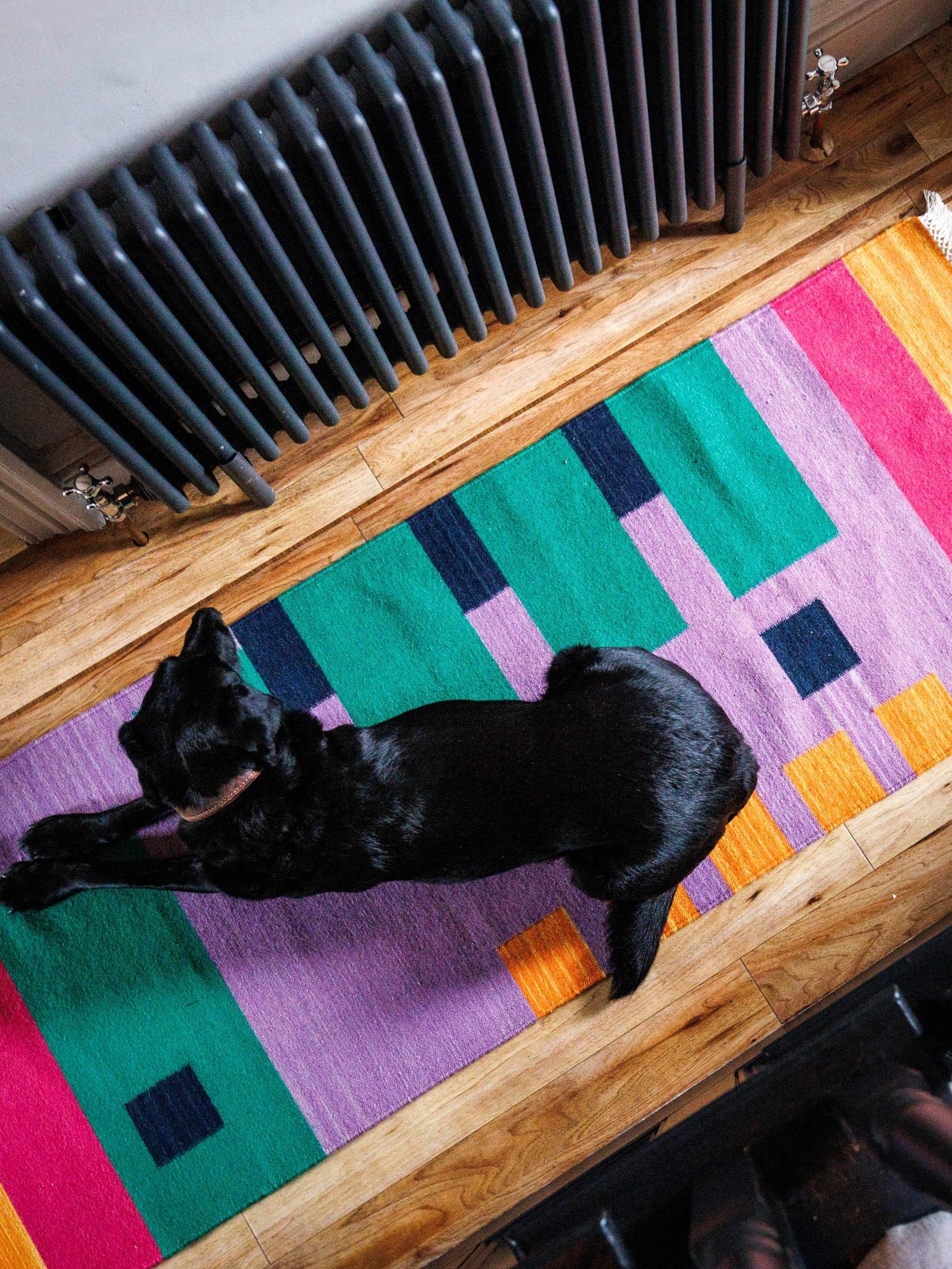 Wool Rug in Flamingo-Humphries and Begg