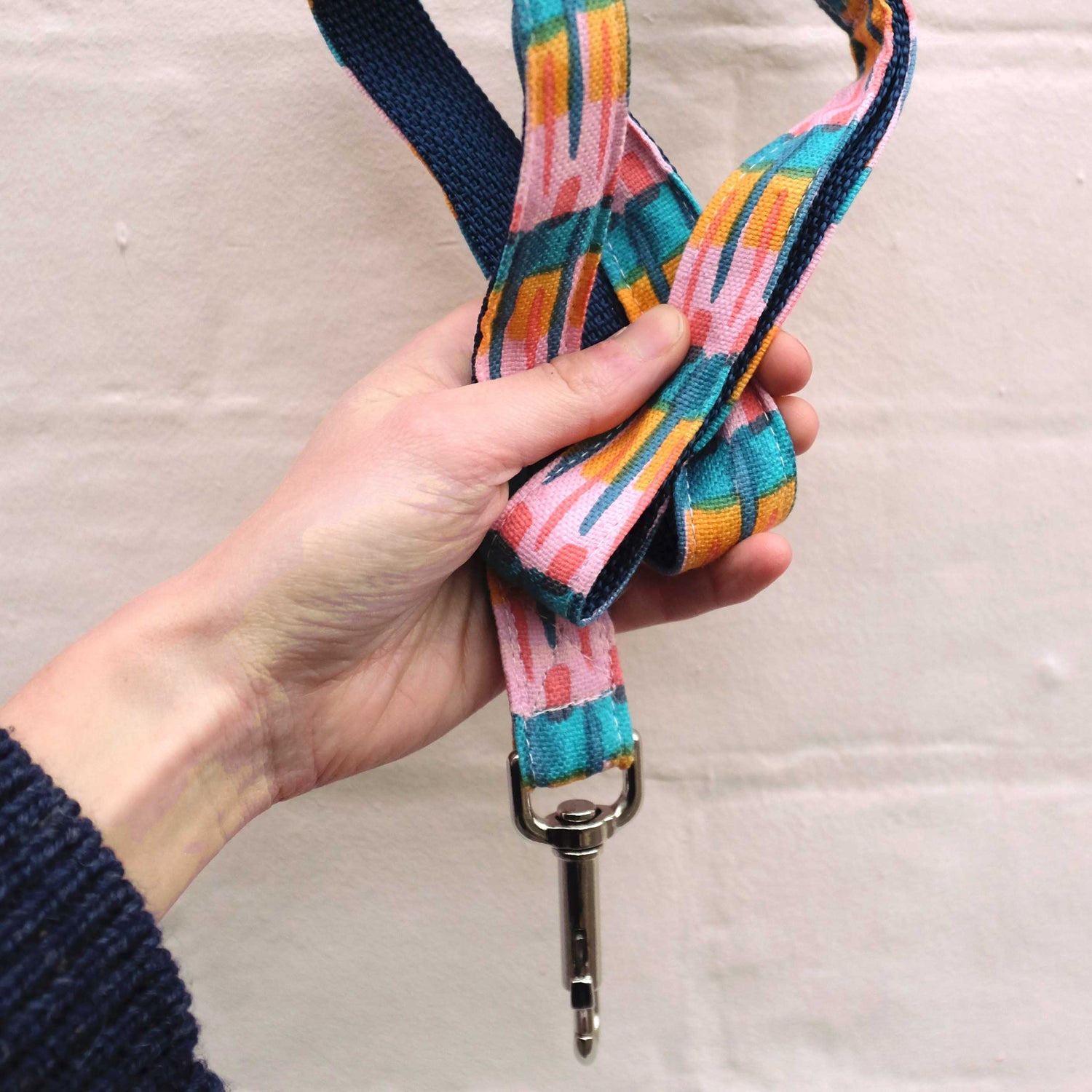 DOG LEADS